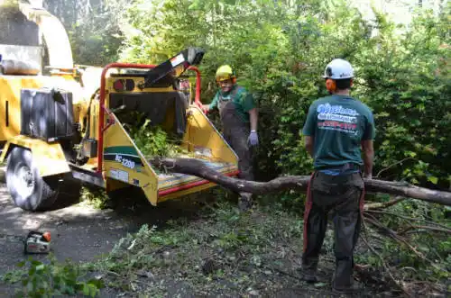 tree services Crooked Creek